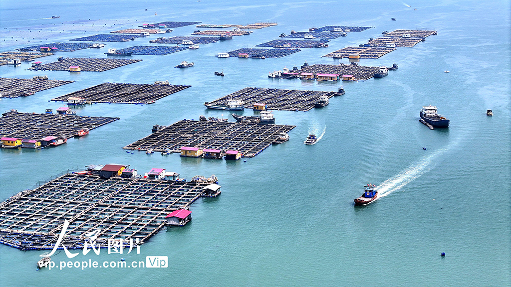 福建寧德:海上糧倉【2】
