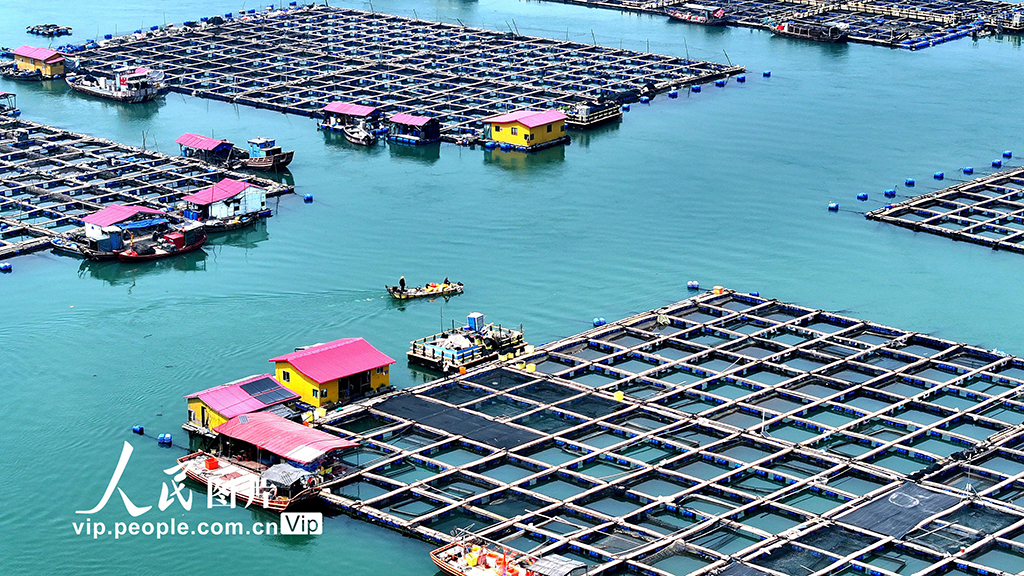 福建寧德：海上糧倉【3】
