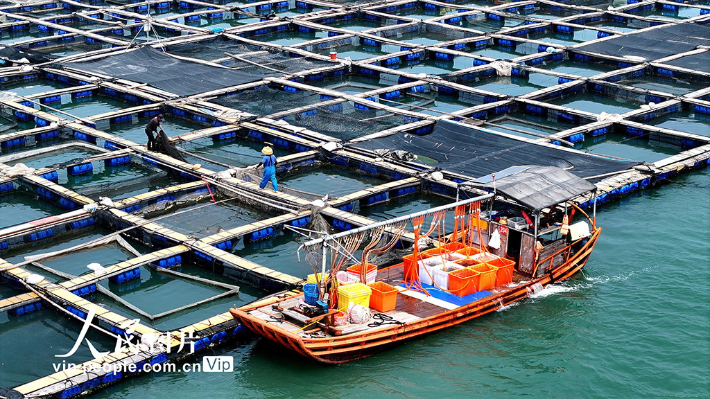 福建寧德：海上糧倉