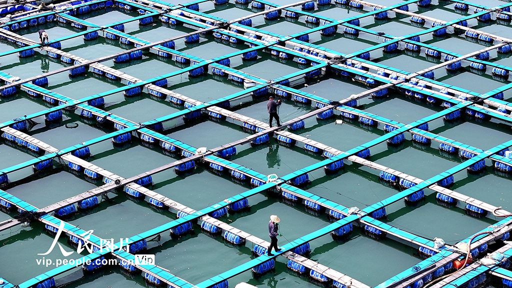 福建寧德：海上糧倉【4】