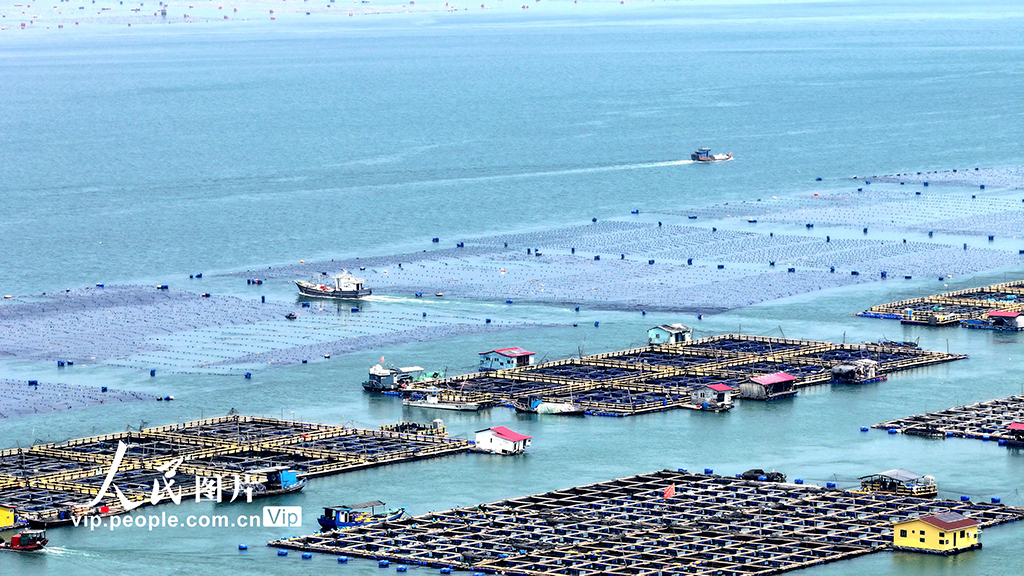 福建寧德：海上糧倉【5】