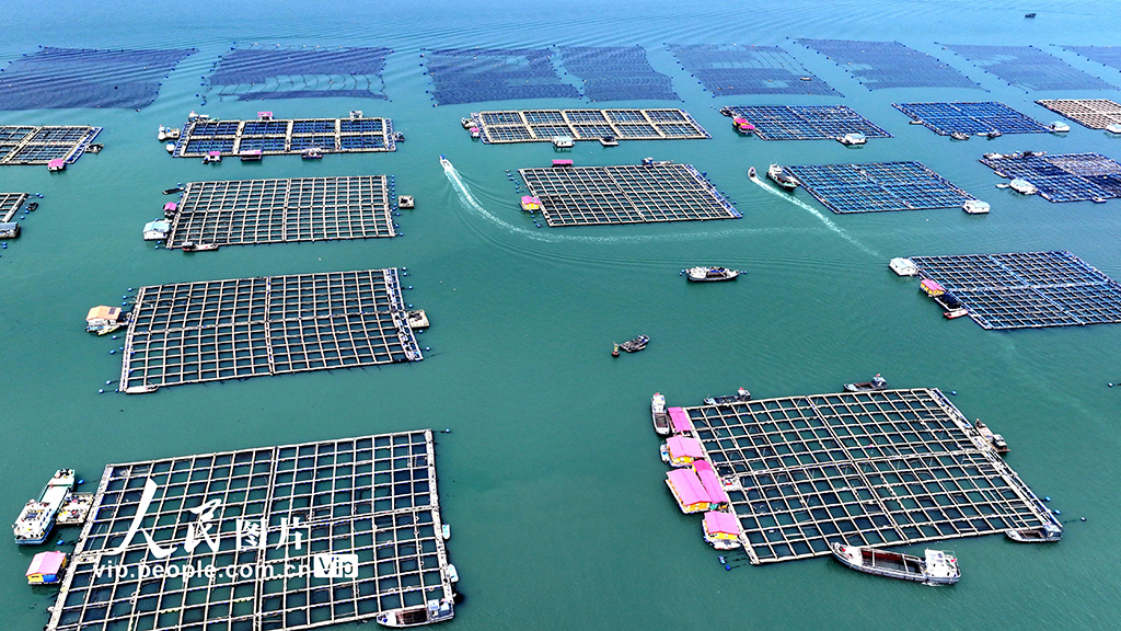 福建寧德：海上糧倉【6】