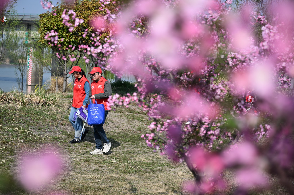 3月26日，揚州市江都區水務局大禹青年志愿服務隊在南水北調東線源頭水域岸邊巡河并清理垃圾。新華社記者 季春鵬 攝