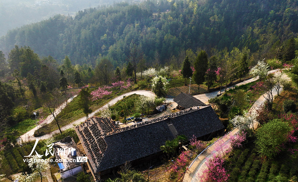 重慶黔江：修繕傳統村落 助力鄉村振興【5】