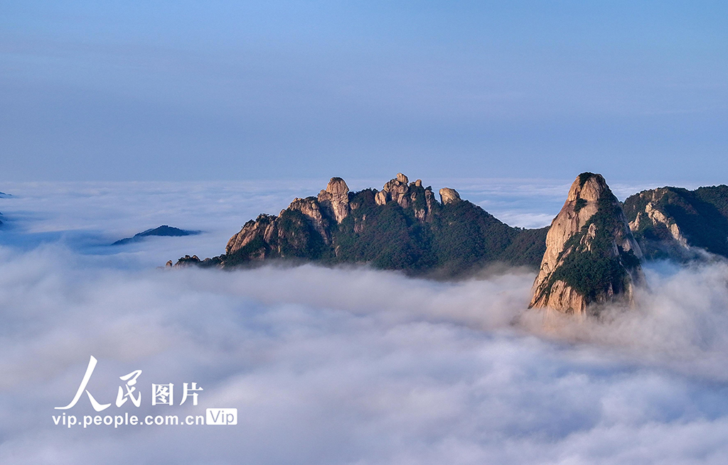 安徽池州:九華山九子巖現云海景觀【3】