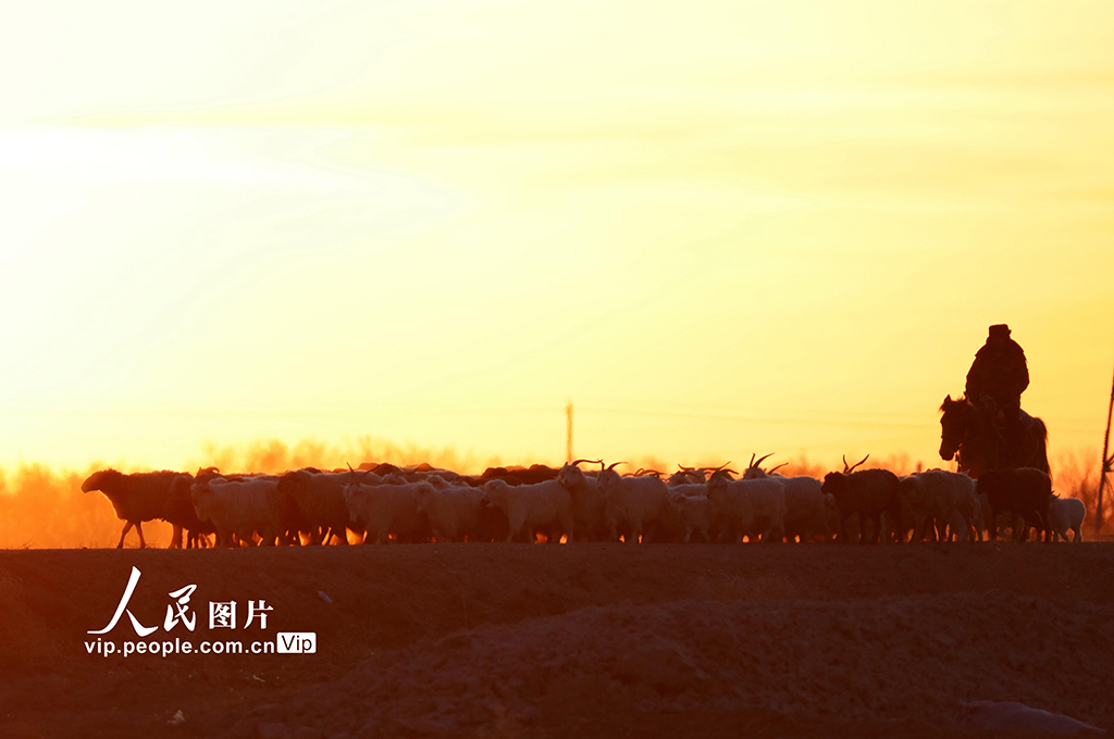 新疆阿勒泰:春季大轉場開啟【4】