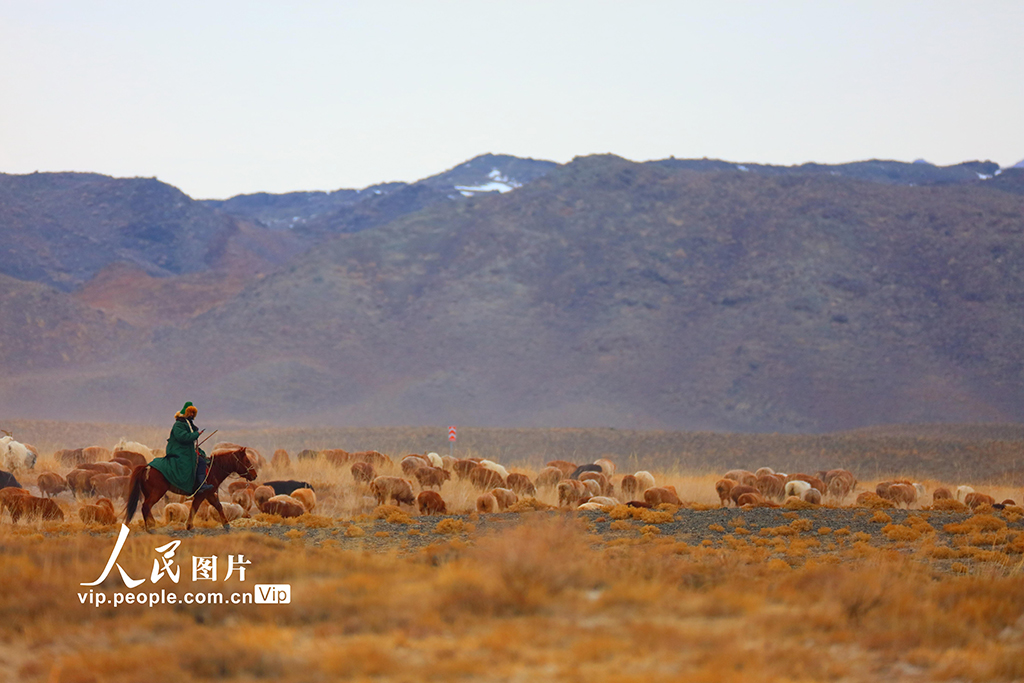 新疆阿勒泰:春季大轉場開啟【5】