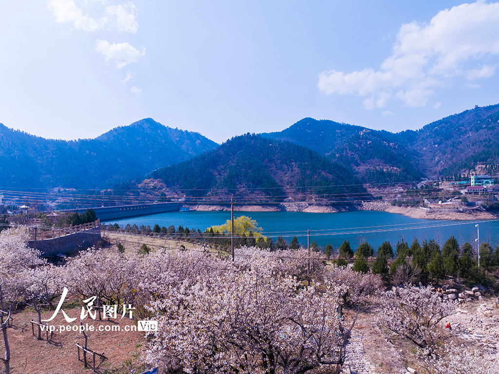 山東青島：大石村水庫蓄水備春灌