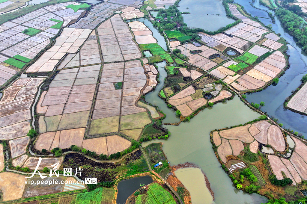 江西泰和:春耕田園如畫【2】