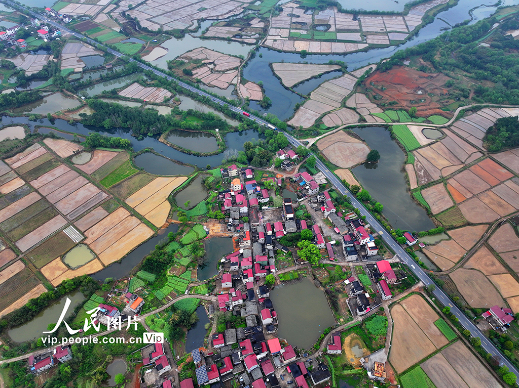 江西泰和:春耕田園如畫【3】