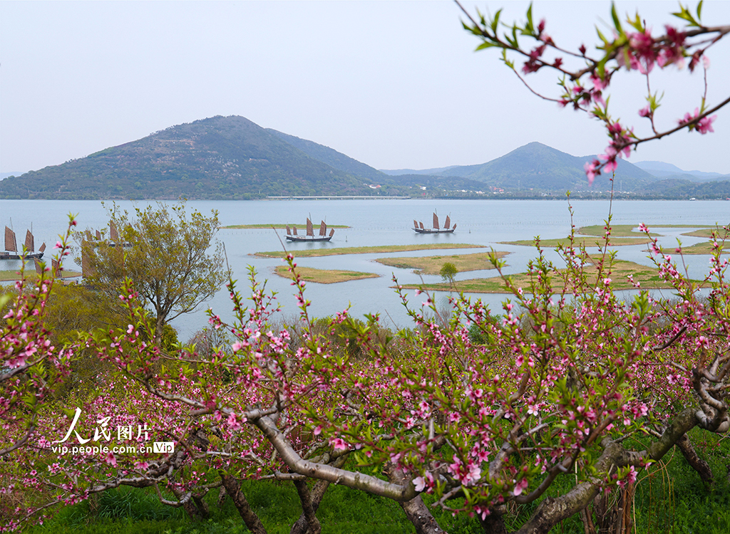江蘇蘇州:太湖之濱春景如畫【3】
