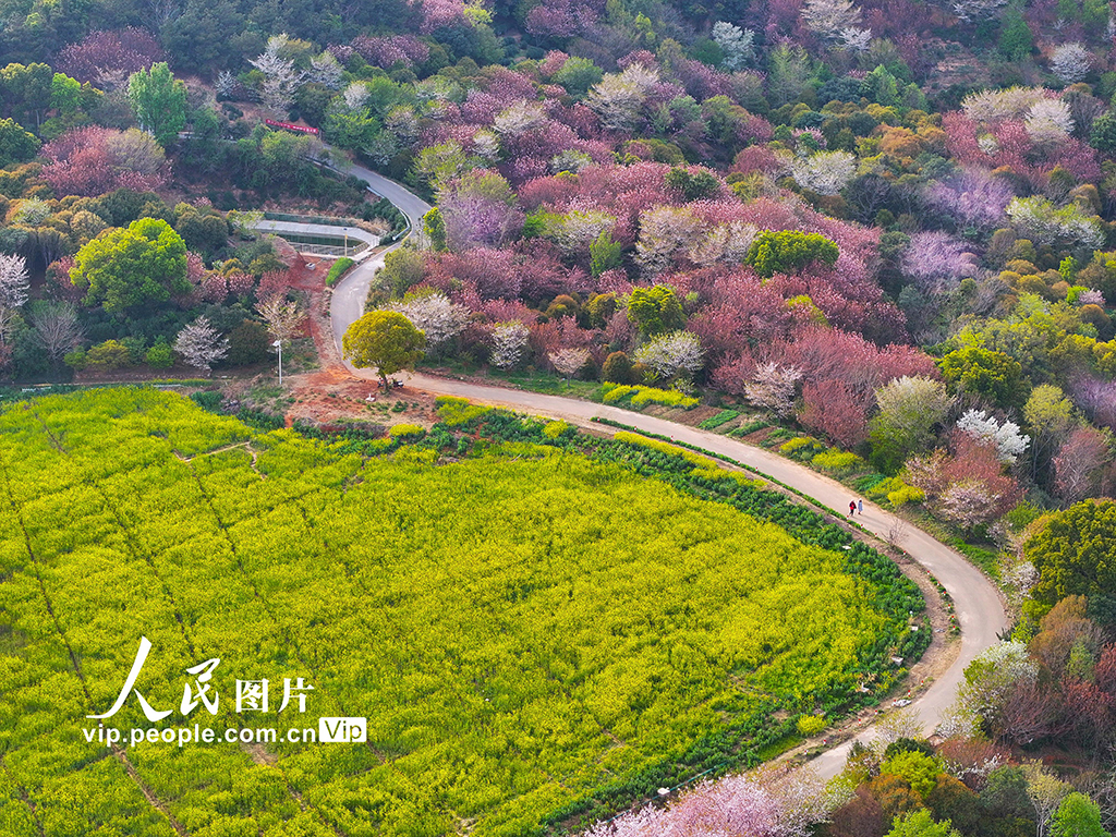 江蘇蘇州:太湖之濱春景如畫【4】