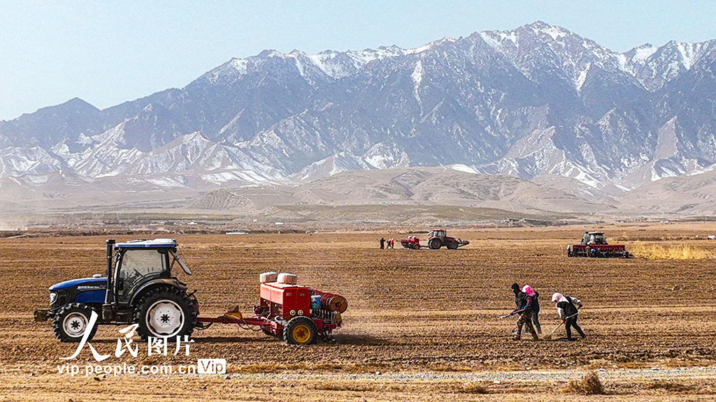 甘肅張掖:祁連山下科技助力春小麥播種忙【4】