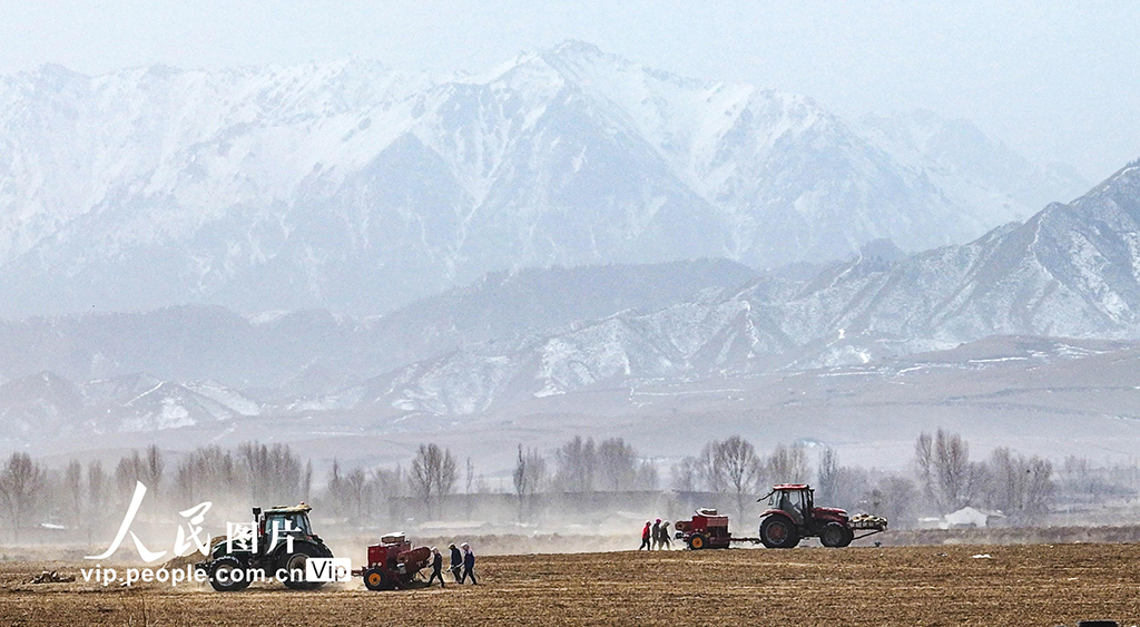 甘肅張掖:祁連山下科技助力春小麥播種忙【5】