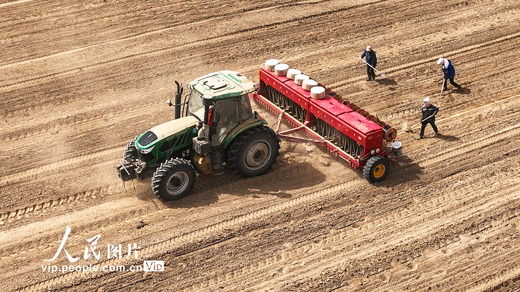 甘肅張掖:祁連山下科技助力春小麥播種忙【6】