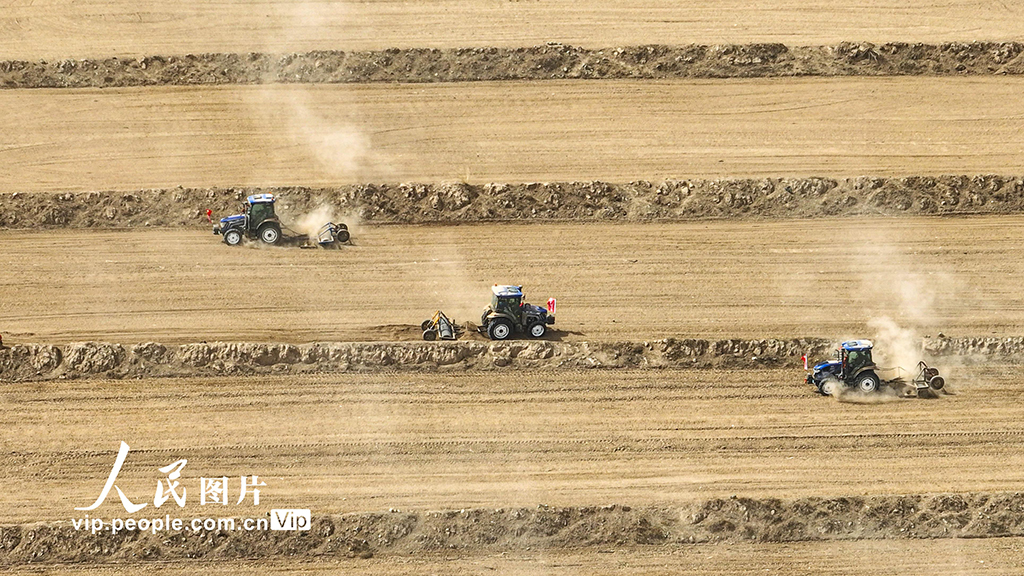 甘肅張掖:祁連山下科技助力春小麥播種忙【3】