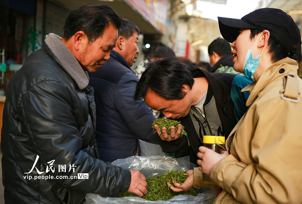 安徽祁門:春茶交易紅火【3】