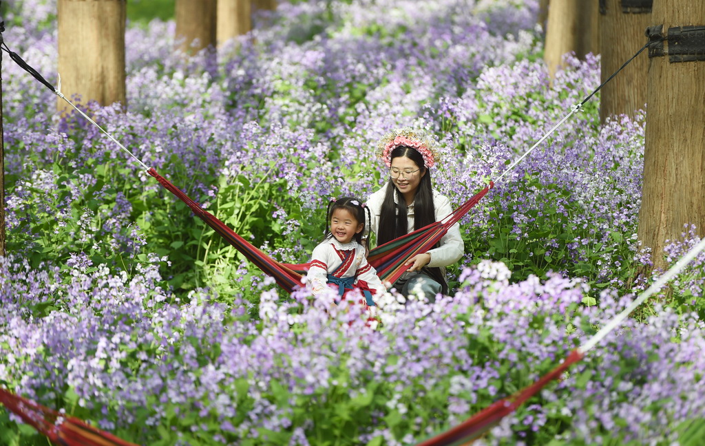 4月3日，游客在江蘇省淮安市金湖縣銀涂鎮萬畝水上森林內的二月蘭“花?！敝杏瓮?。新華社發（陳義寶攝）