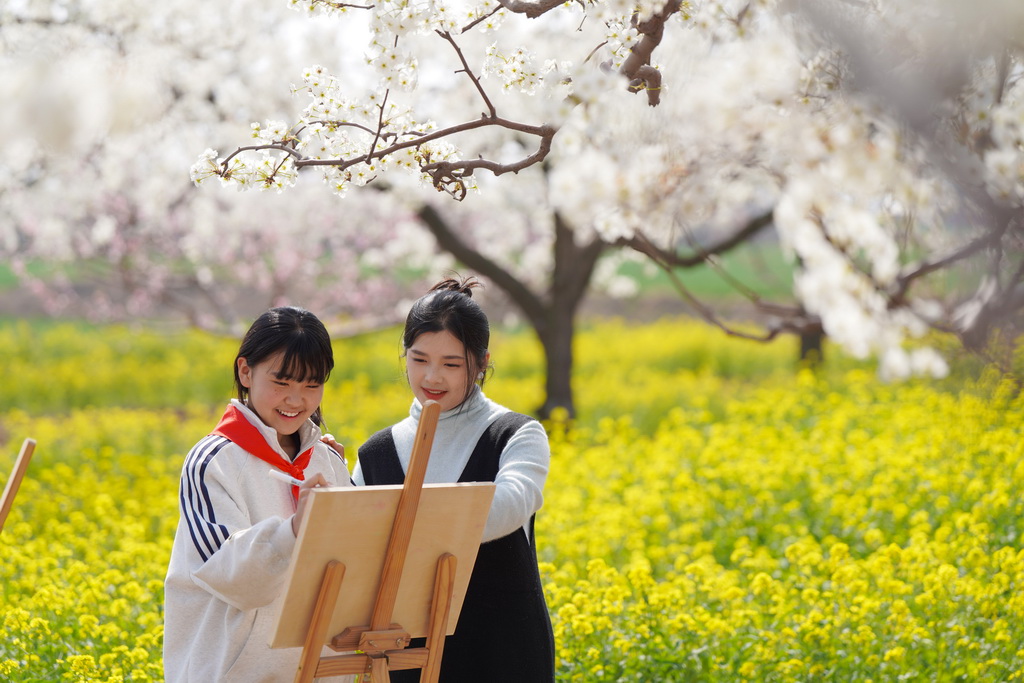 4月3日，河北省邢臺市內丘縣大都城小學學生在果園寫生。新華社發（劉繼東攝）