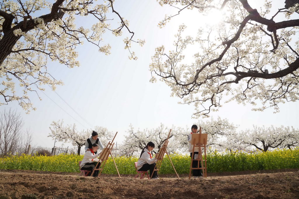 4月3日，河北省邢臺市內丘縣大都城小學學生在果園寫生。新華社發（劉繼東攝）