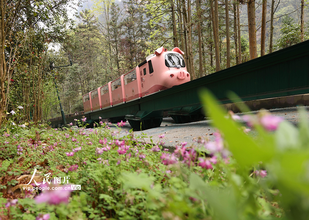 湖南張家界:假期旅游享春光【2】