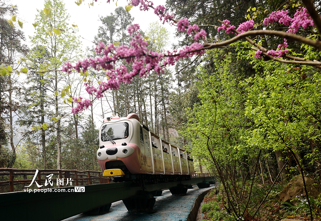 湖南張家界:假期旅游享春光【3】