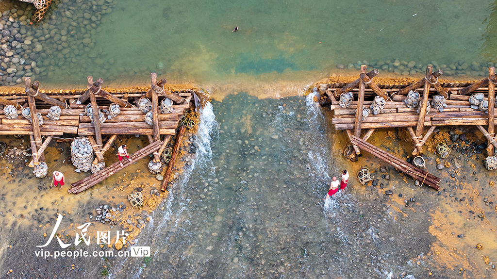 四川成都:2025都江堰放水節啟幕【7】