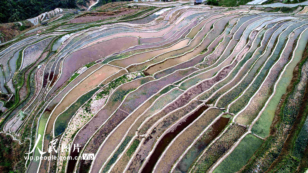 貴州從江:春日梯田美如畫【2】