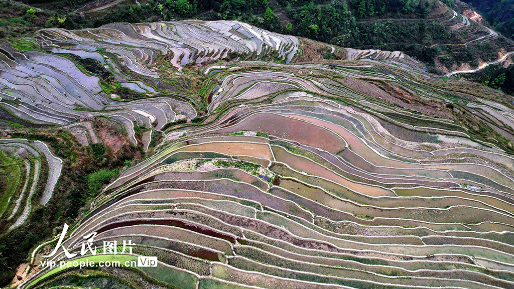 貴州從江:春日梯田美如畫【4】