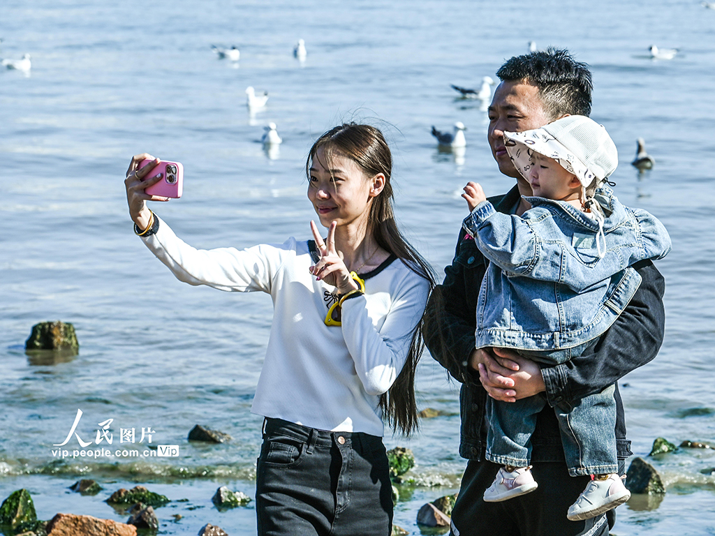 山東青島:棧橋景區游人如織【4】