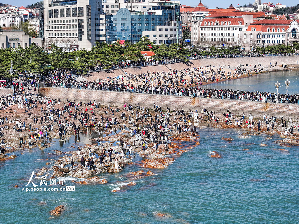 山東青島:棧橋景區游人如織【5】