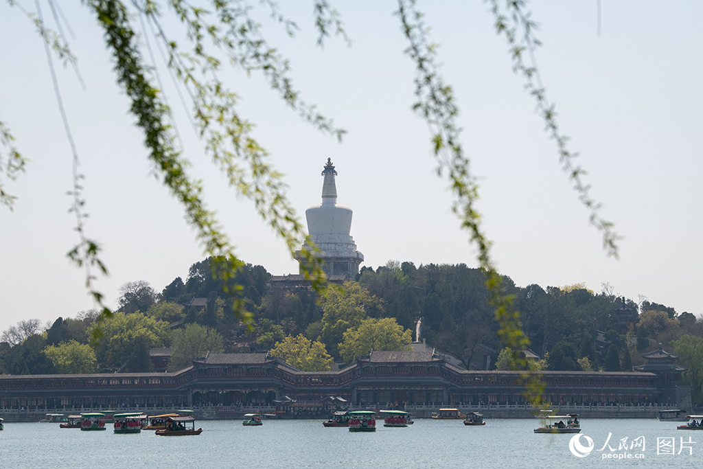 北海公園春色滿園醉游人