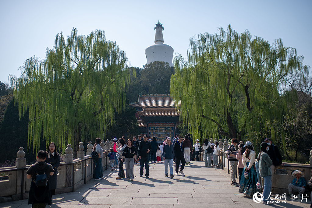 北海公園春色滿園醉游人【7】