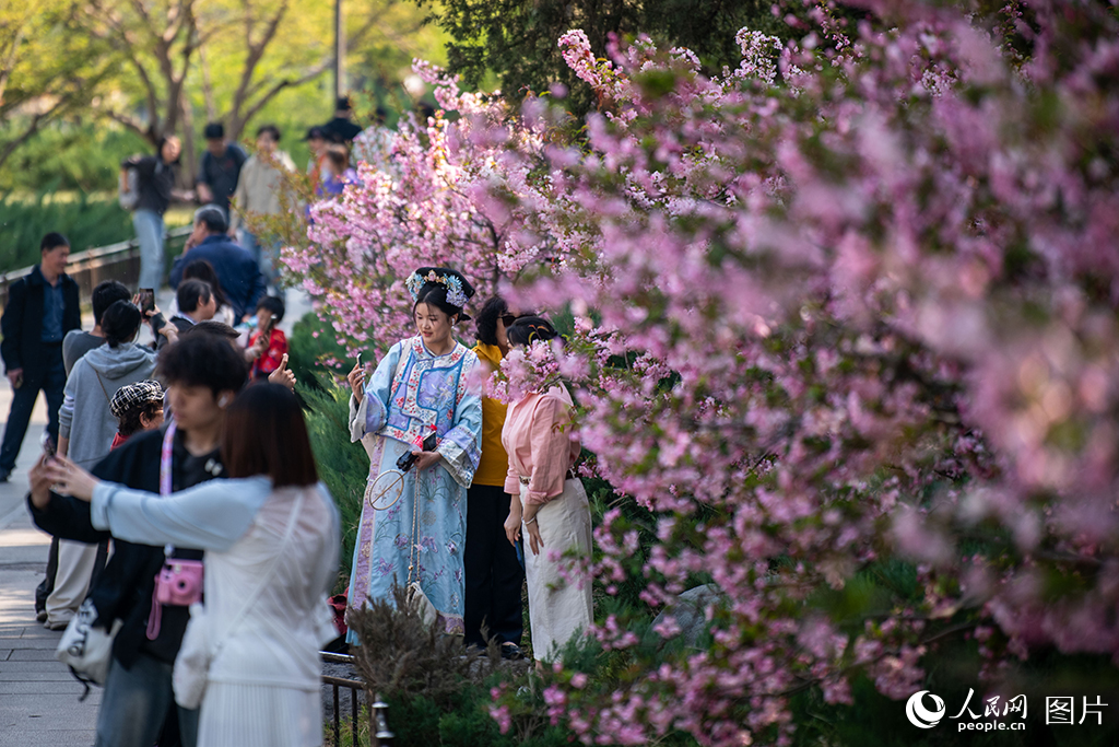 北海公園春色滿園醉游人【9】