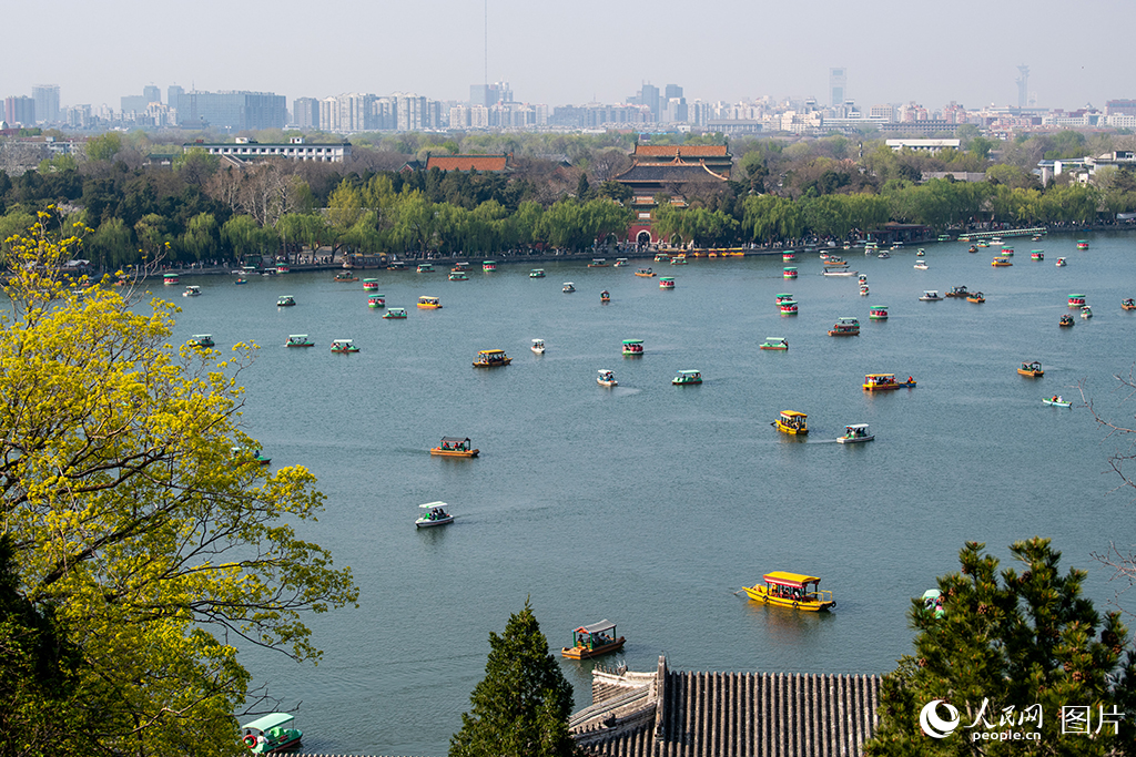 北海公園春色滿園醉游人【10】