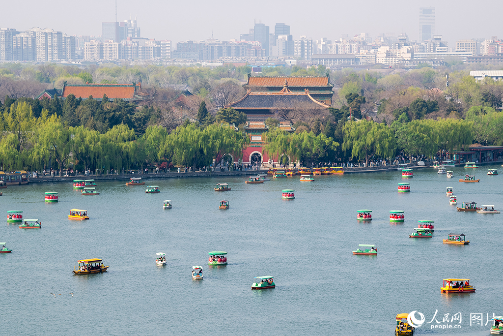 北海公園春色滿園醉游人【11】