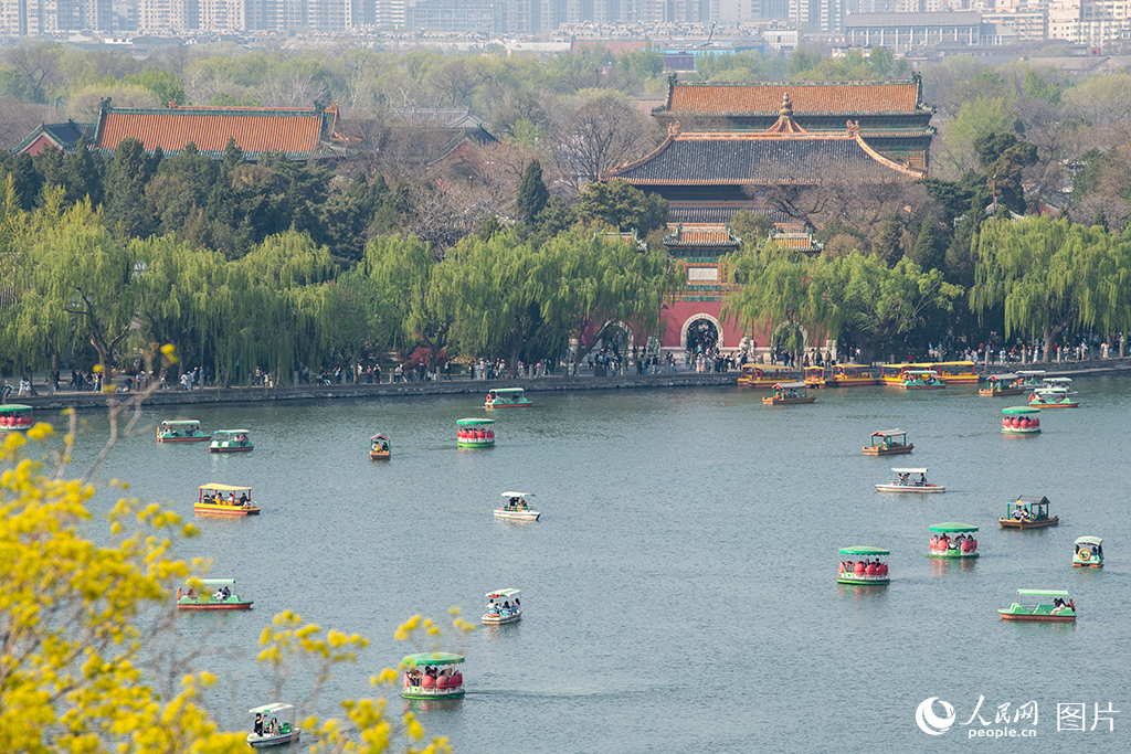 北海公園春色滿園醉游人【12】
