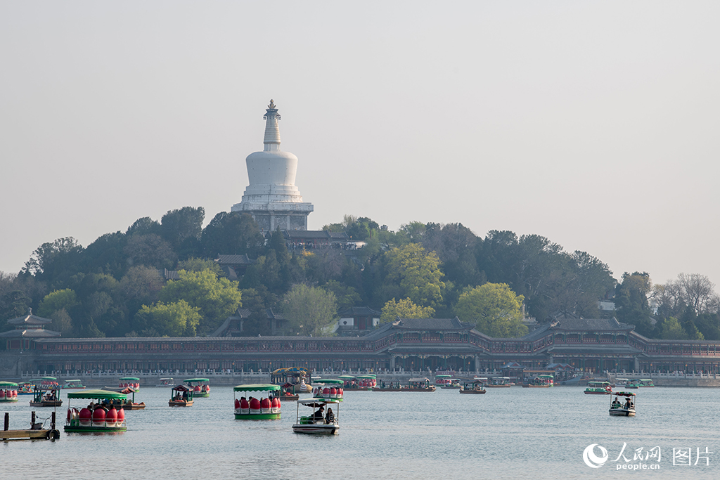 北海公園春色滿園醉游人【14】