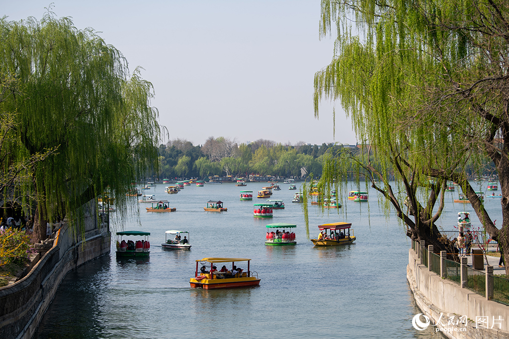 北海公園春色滿園醉游人【15】