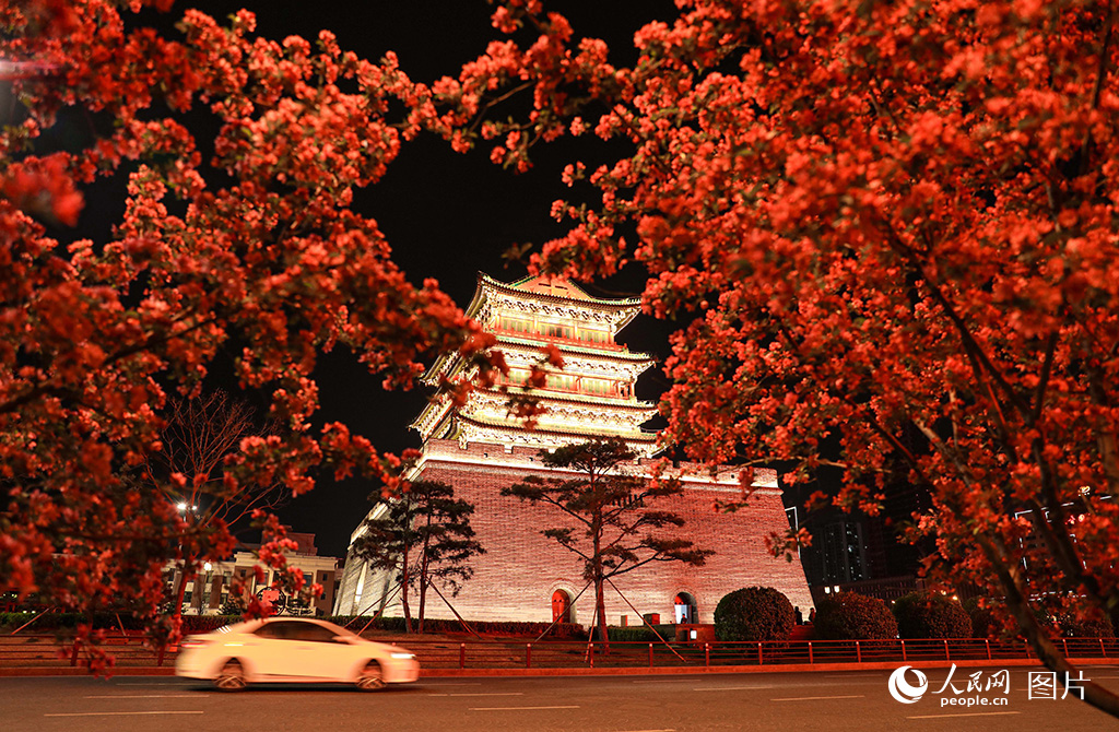 2025年4月5日，太原市迎澤區五一廣場附近，海棠花在夜色中悄然盛開，爛漫花海襯托著古典建筑。人民網記者 王帆攝