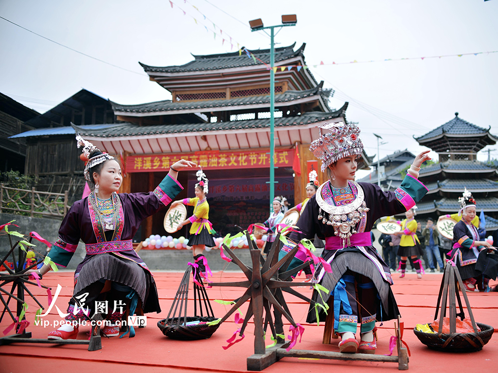 廣西三江：油茶飄香迎賓客【3】