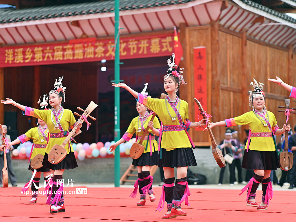 廣西三江:油茶飄香迎賓客【4】
