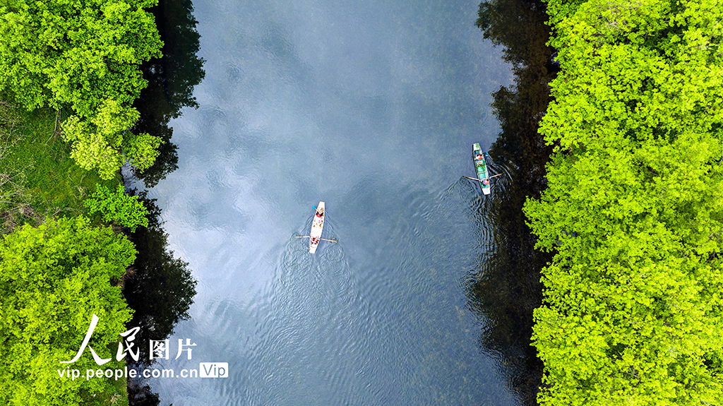 江西宜春：巡河護水 凈水清流