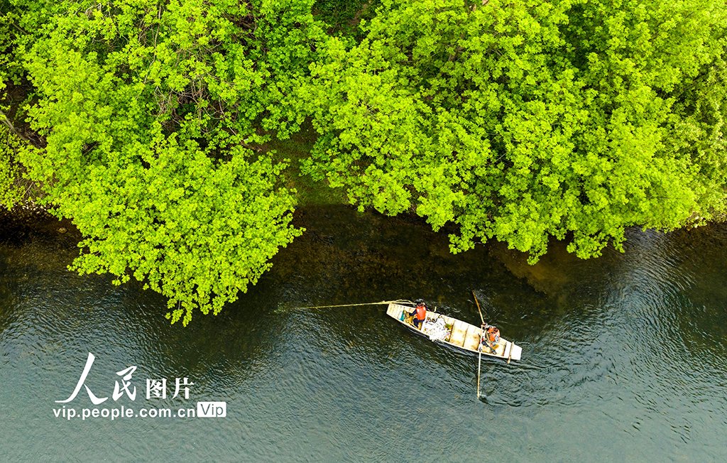 江西宜春:巡河護水 凈水清流【3】
