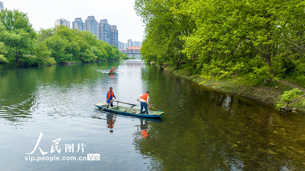江西宜春:巡河護水 凈水清流【4】