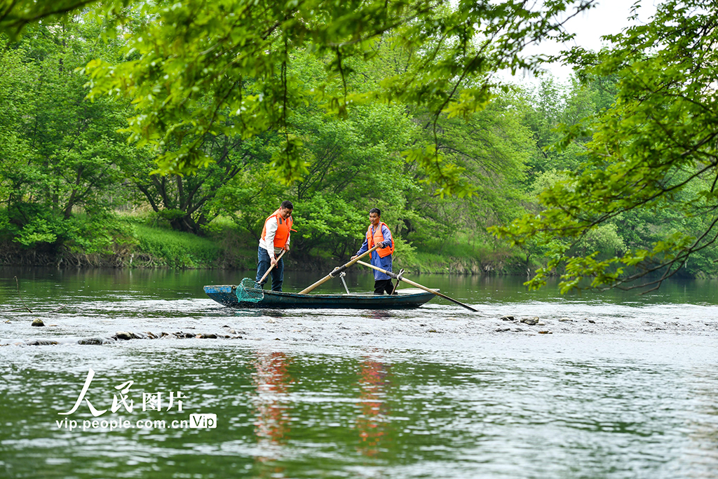 江西宜春:巡河護水 凈水清流【5】