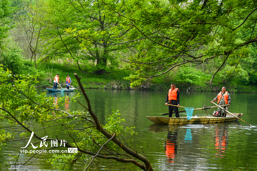江西宜春:巡河護水 凈水清流【6】