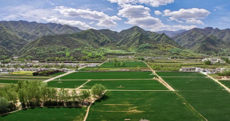 秦嶺腳下的“生態致富經”