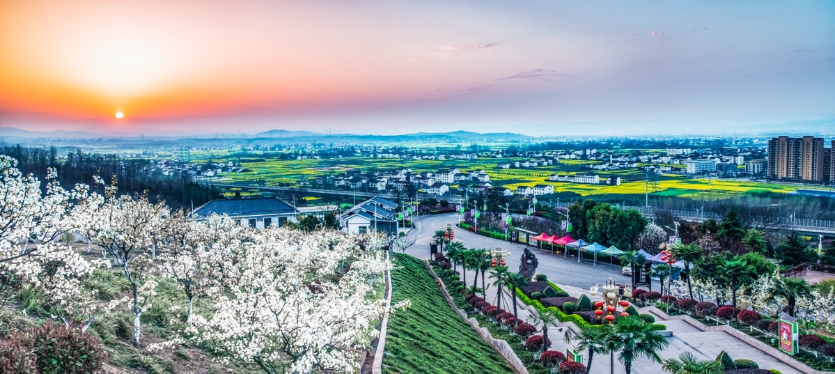 洋縣朱鹮梨園景區一景。資料圖片