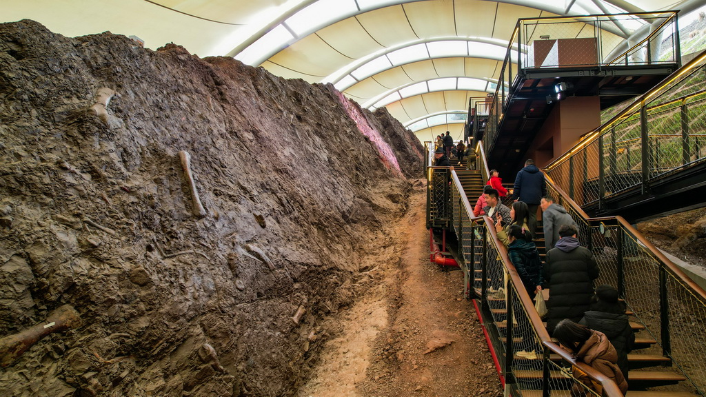 游客在云陽世界地質公園參觀恐龍化石墻（1月30日攝，無人機照片）。新華社發